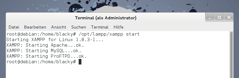 XAMPP über das Terminal starten